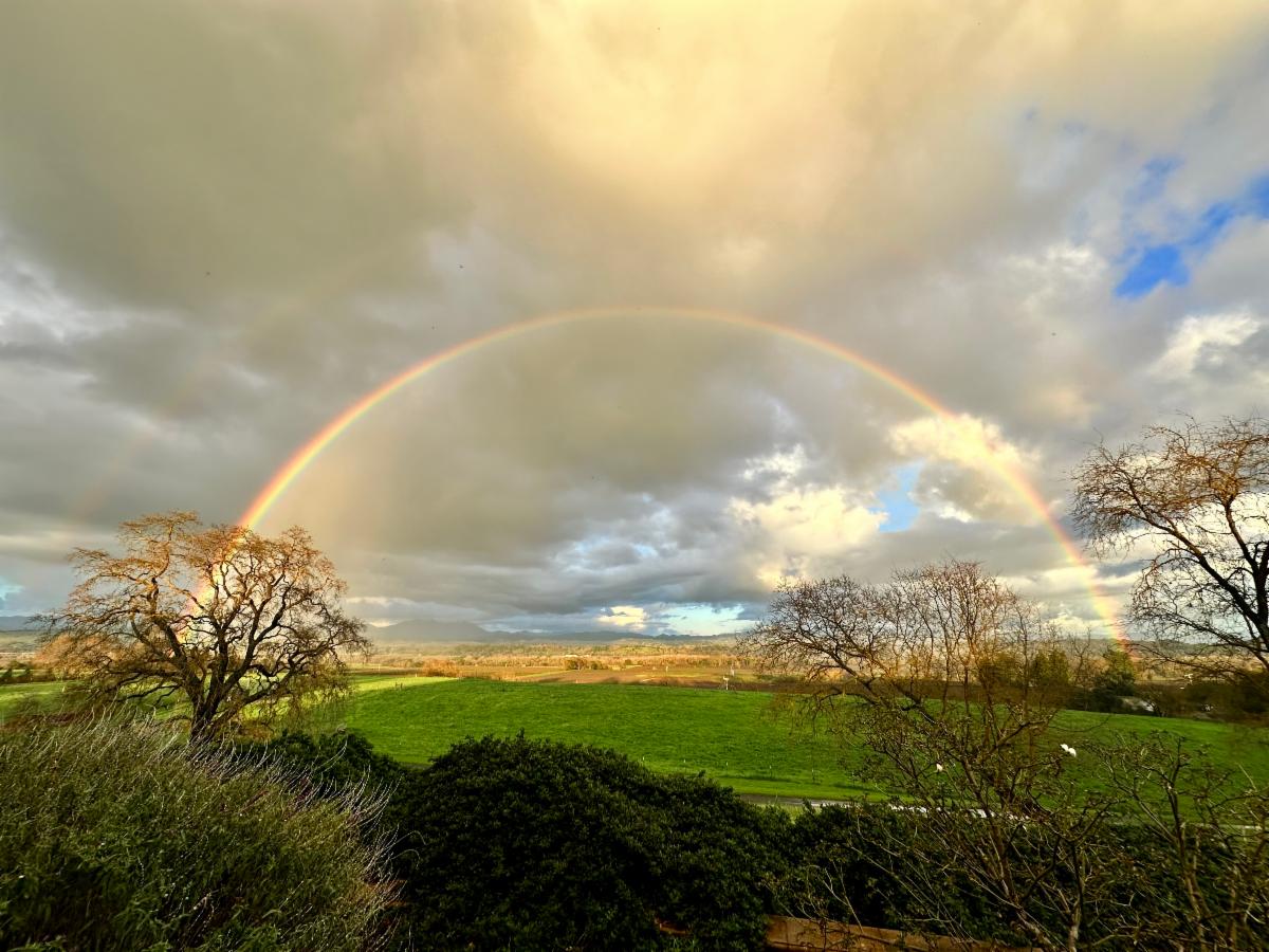 4Rainbow.jpeg